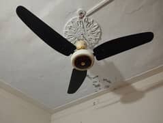 Ceiling Fans