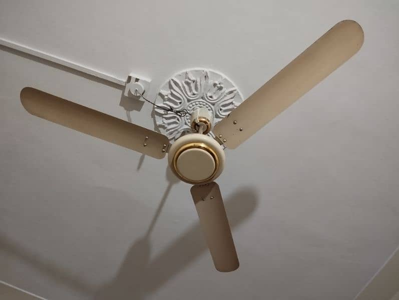 Ceiling Fans 1