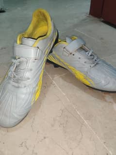 sports shoes