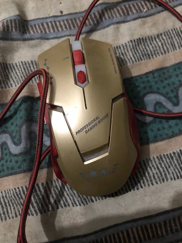 rgb chineese mouse 0