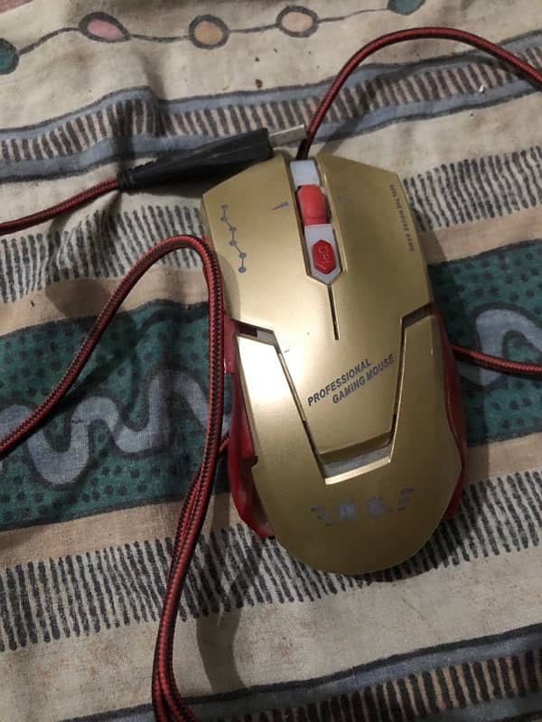 rgb chineese mouse 1