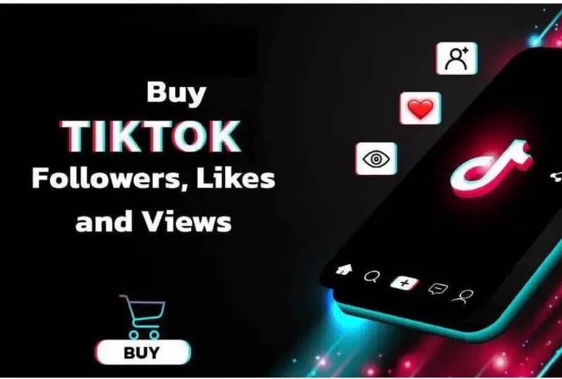 TikTok/Instagram/Facebook Services 2