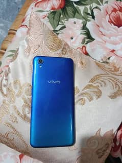 VIVO