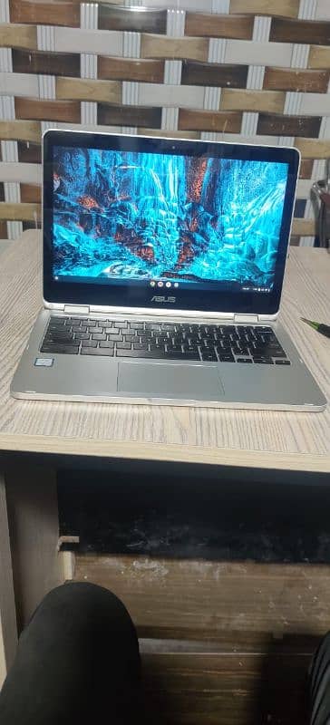 Asus Touch chromebook c302c 1