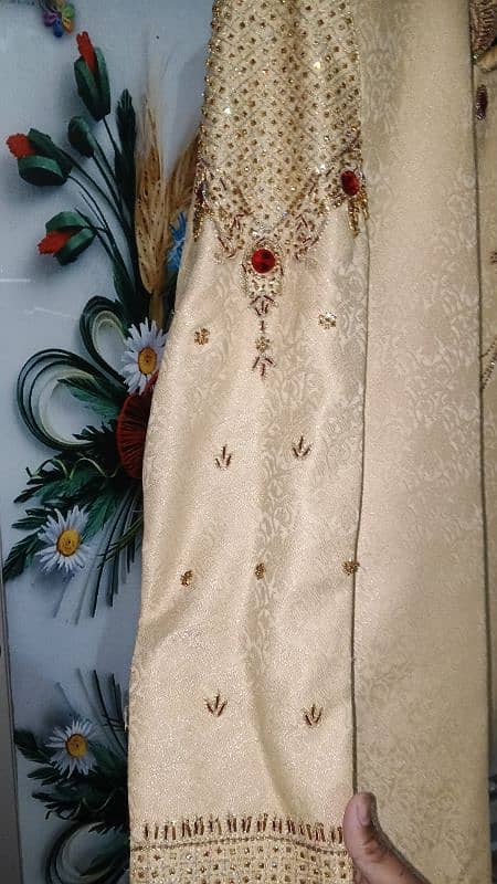 sherwani golden color 2