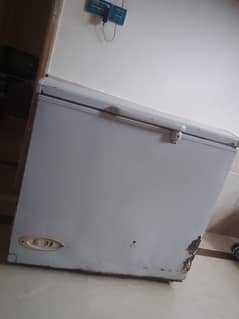 Single door freezer