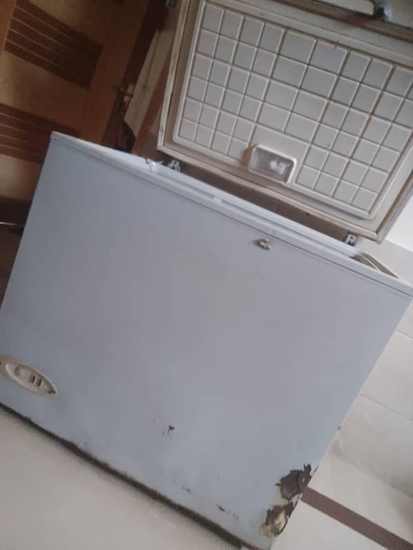 Single door freezer 1