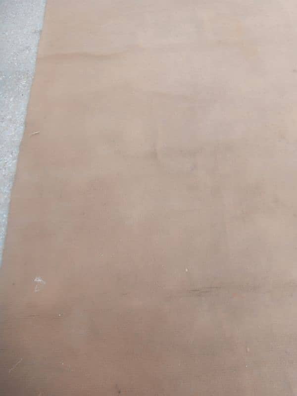 Carpet For Urgent Sell 1