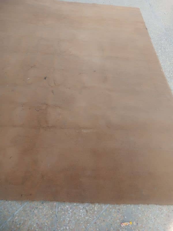 Carpet For Urgent Sell 5