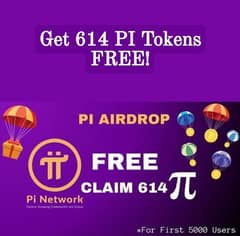 Pi Coins