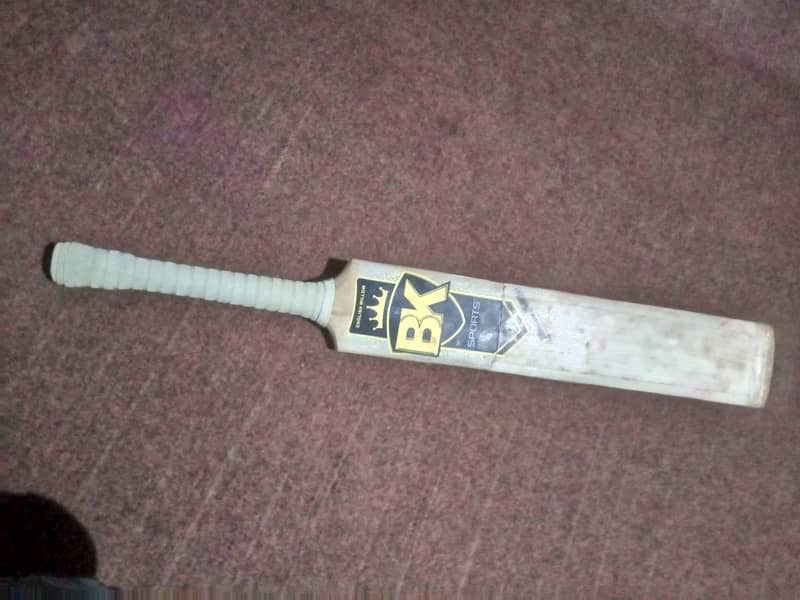 BK original hard ball bat 1