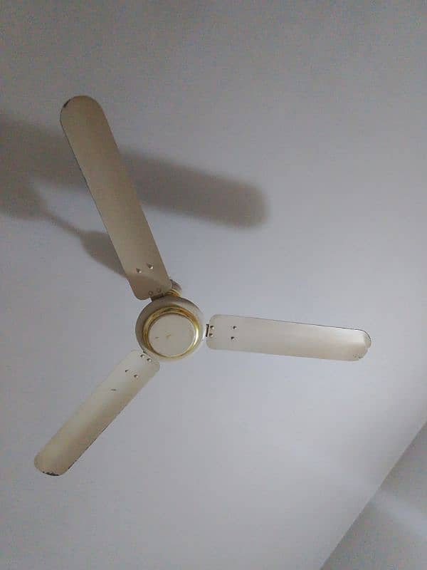 2 Fans 0