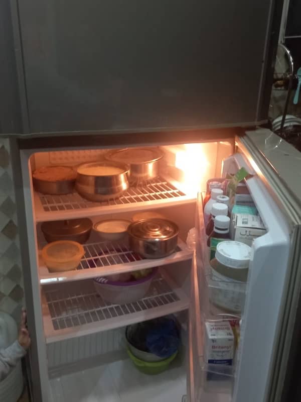 pel refrigerator 3