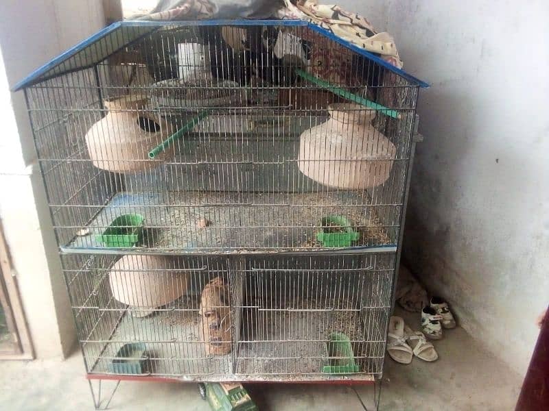 double poshan pinjra hai for sale urgent 0