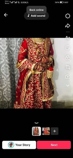 bridle lehenga