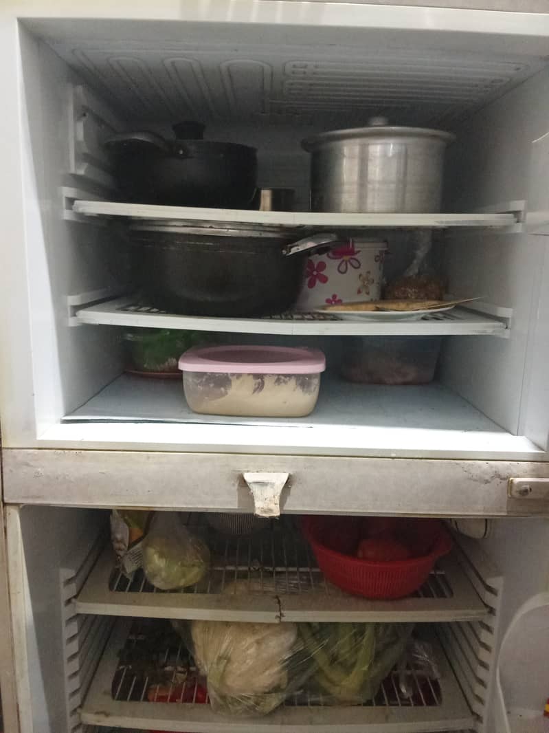 PEL Refrigerator for Sell 2