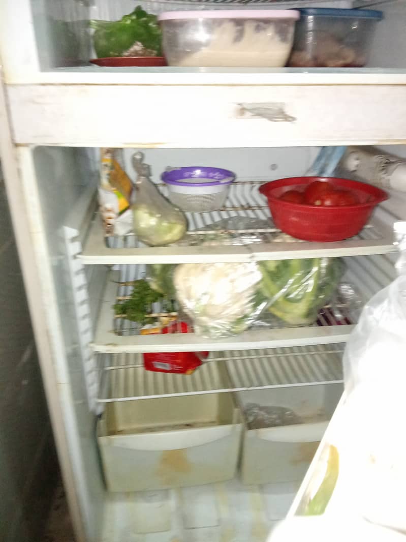 PEL Refrigerator for Sell 3