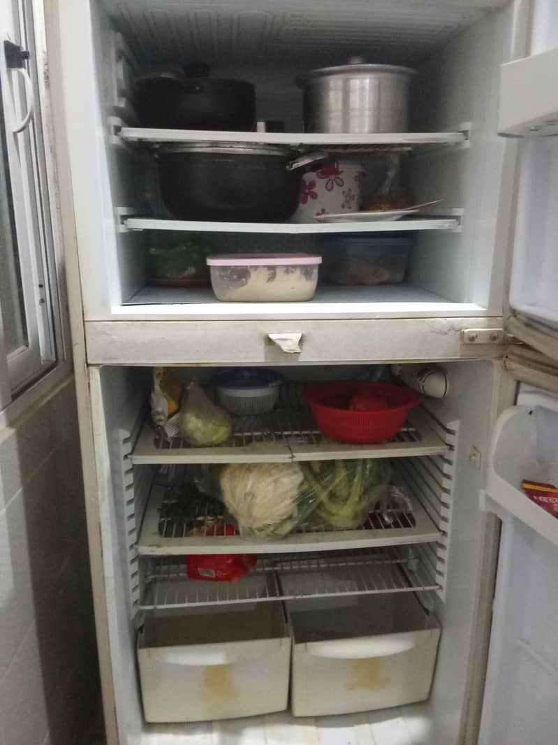 PEL Refrigerator for Sell 4