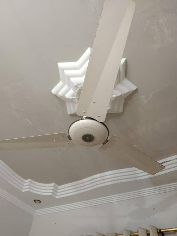 5 Ceiling Fan and 2 Wall fan in running condition 1