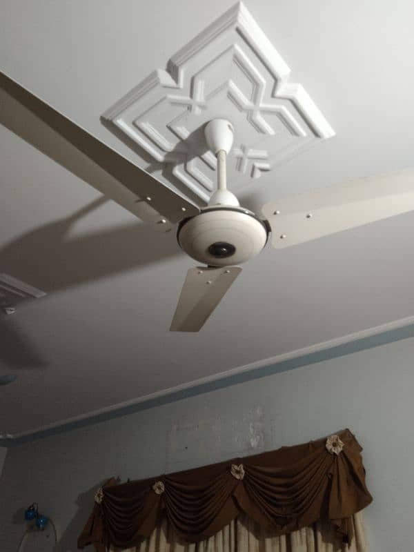 5 Ceiling Fan and 2 Wall fan in running condition 2