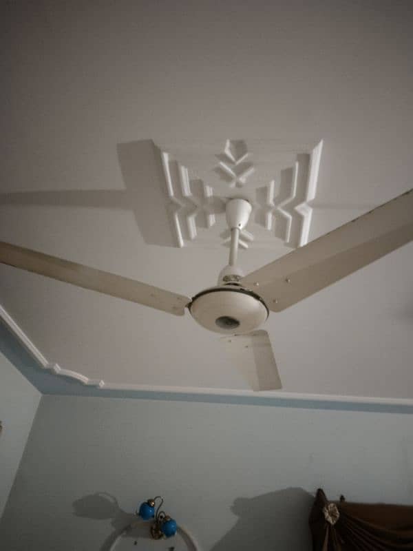 5 Ceiling Fan and 2 Wall fan in running condition 3