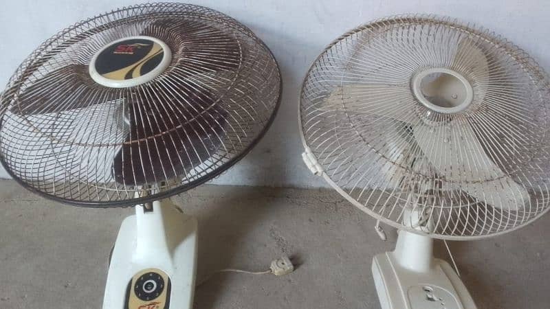 5 Ceiling Fan and 2 Wall fan in running condition 4