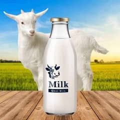 goat milk fresh