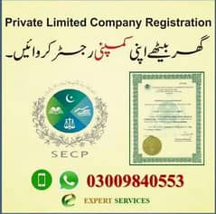 0300_9840553 Income Tax, NTN, efiling, Sales Tax, Company Registration