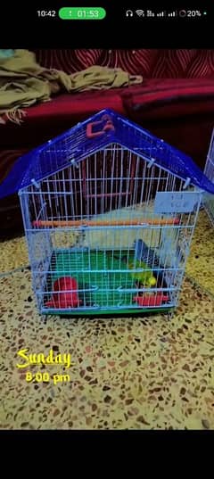 small size cage