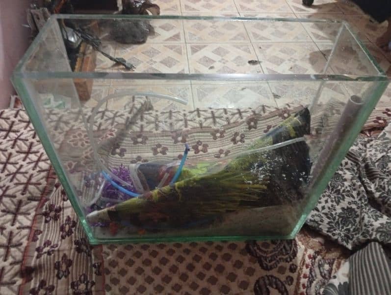 16/6 aquarium complete new condition all accessories with available 0