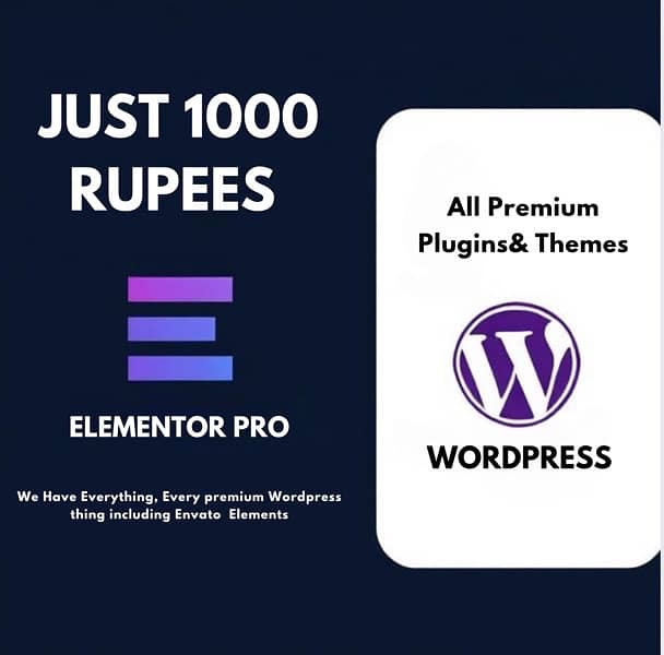 WORDPRESS THEMES & PLUGINS 0