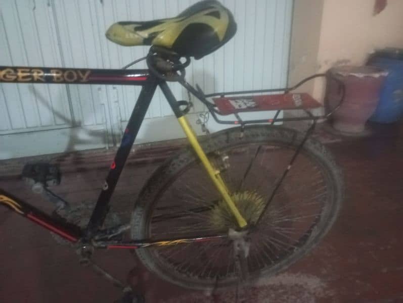 LAvish big bicycle best awsome condition. 3