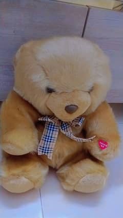 kids teddy bear