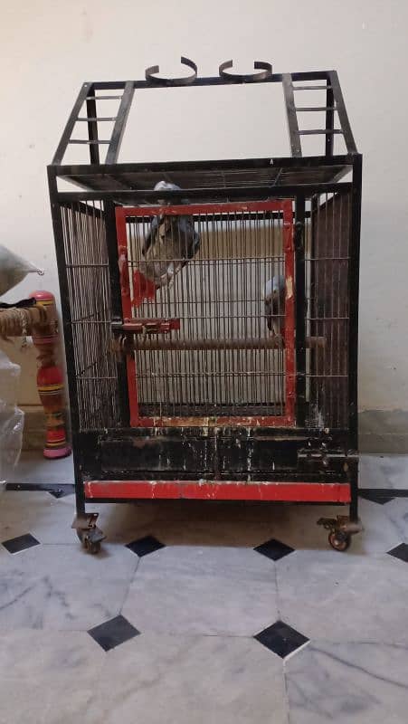 parrot cages 0