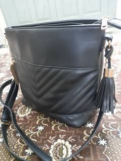 ladies handbag