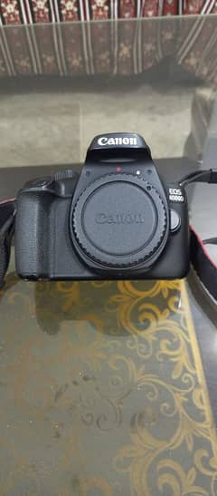 Canon EOS 4000d with Canon STM 50mm lens