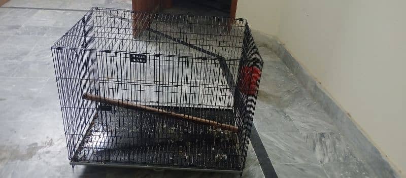 Raw parrot Cage for Sale size 3 by 2 by 2 hai 2