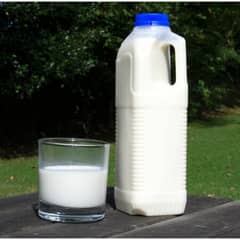 100% Pure & Fresh Cow Milk