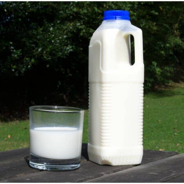 100% Pure & Fresh Cow Milk 0