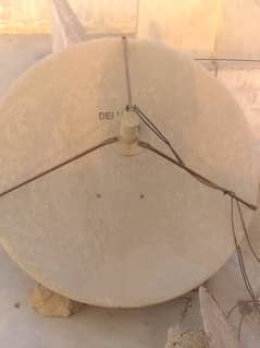 Dish