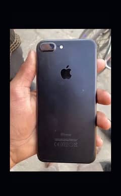 7 plus non pta