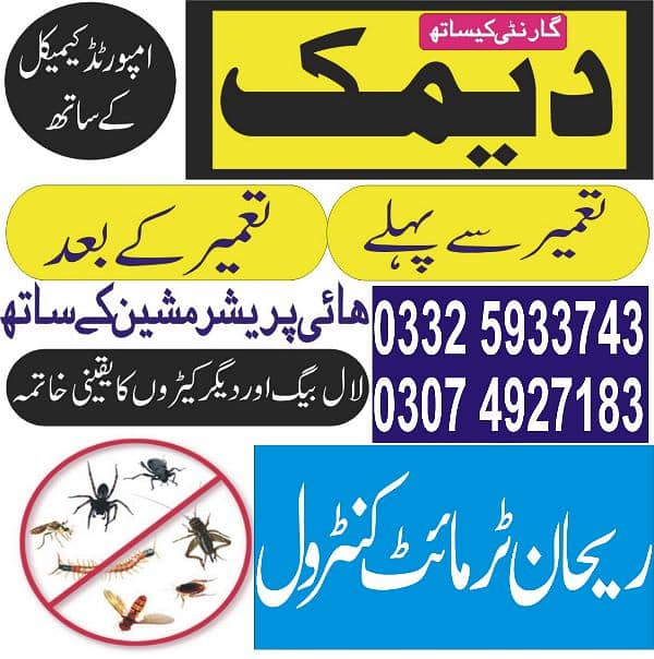 Termite /Deemak Control/Pest Control/Fumigation/Rodents/Daungi Control 3