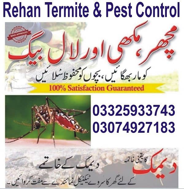 Termite /Deemak Control/Pest Control/Fumigation/Rodents/Daungi Control 5