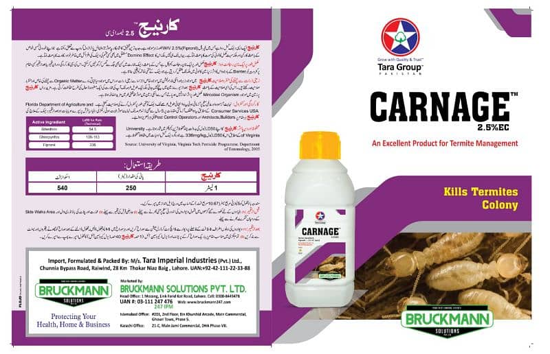 Termite /Deemak Control/Pest Control/Fumigation/Rodents/Daungi Control 7