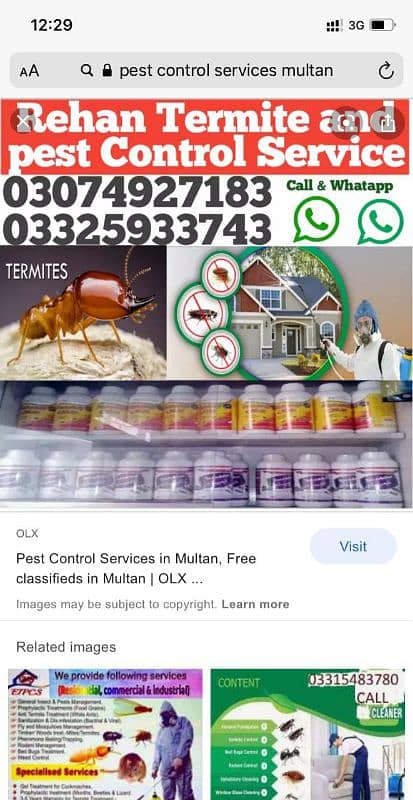 Termite /Deemak Control/Pest Control/Fumigation/Rodents/Daungi Control 12