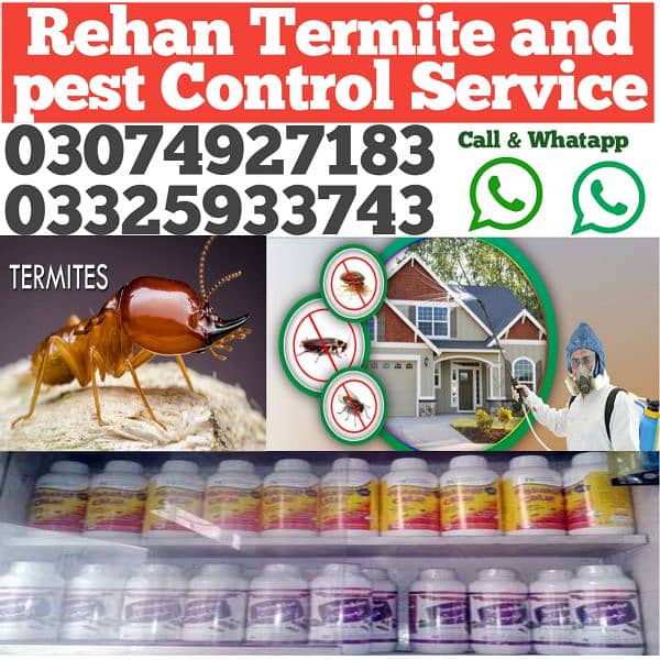 Termite /Deemak Control/Pest Control/Fumigation/Rodents/Daungi Control 13