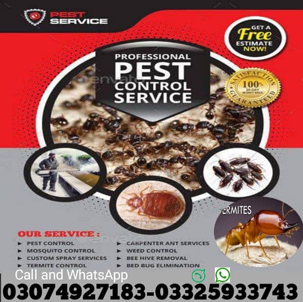 Termite /Deemak Control/Pest Control/Fumigation/Rodents/Daungi Control 14