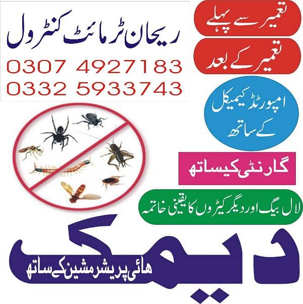 Termite /Deemak Control/Pest Control/Fumigation/Rodents/Daungi Control 17