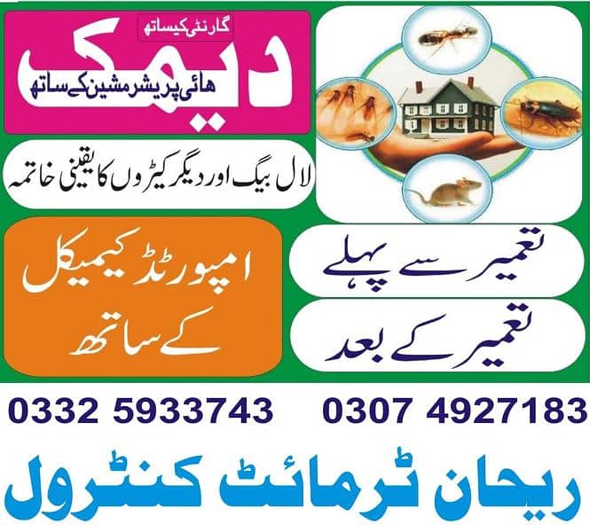 Termite/Deemak/Control/Pest Control/Fumigation/Rodents/Daungi Control 4