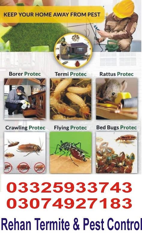 Termite/Deemak/Control/Pest Control/Fumigation/Rodents/Daungi Control 10